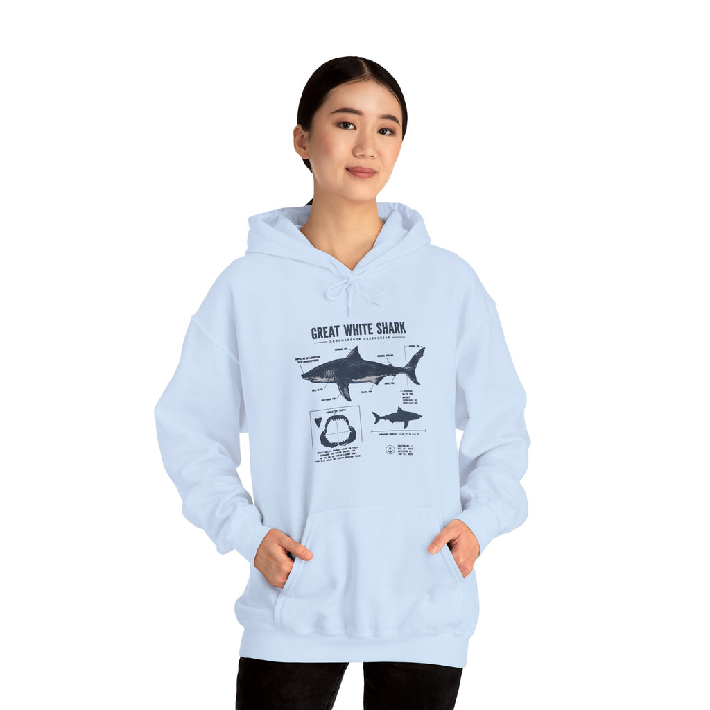 Shark Diagram Hoodie — Great White Shark Anatomy Graphic Sweatshirt