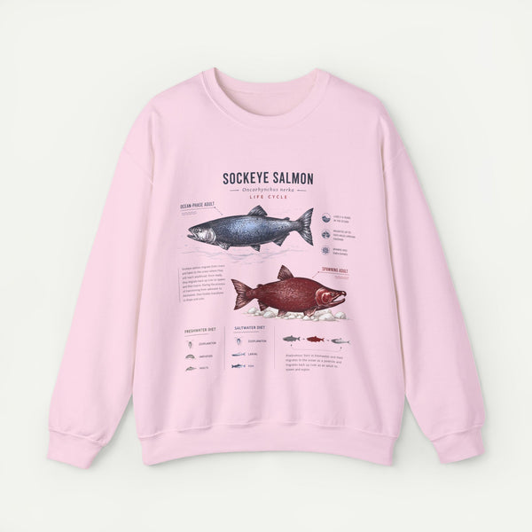 Sockeye Salmon Anatomy Sweatshirt — Fish Anatomy Graphic Crewneck