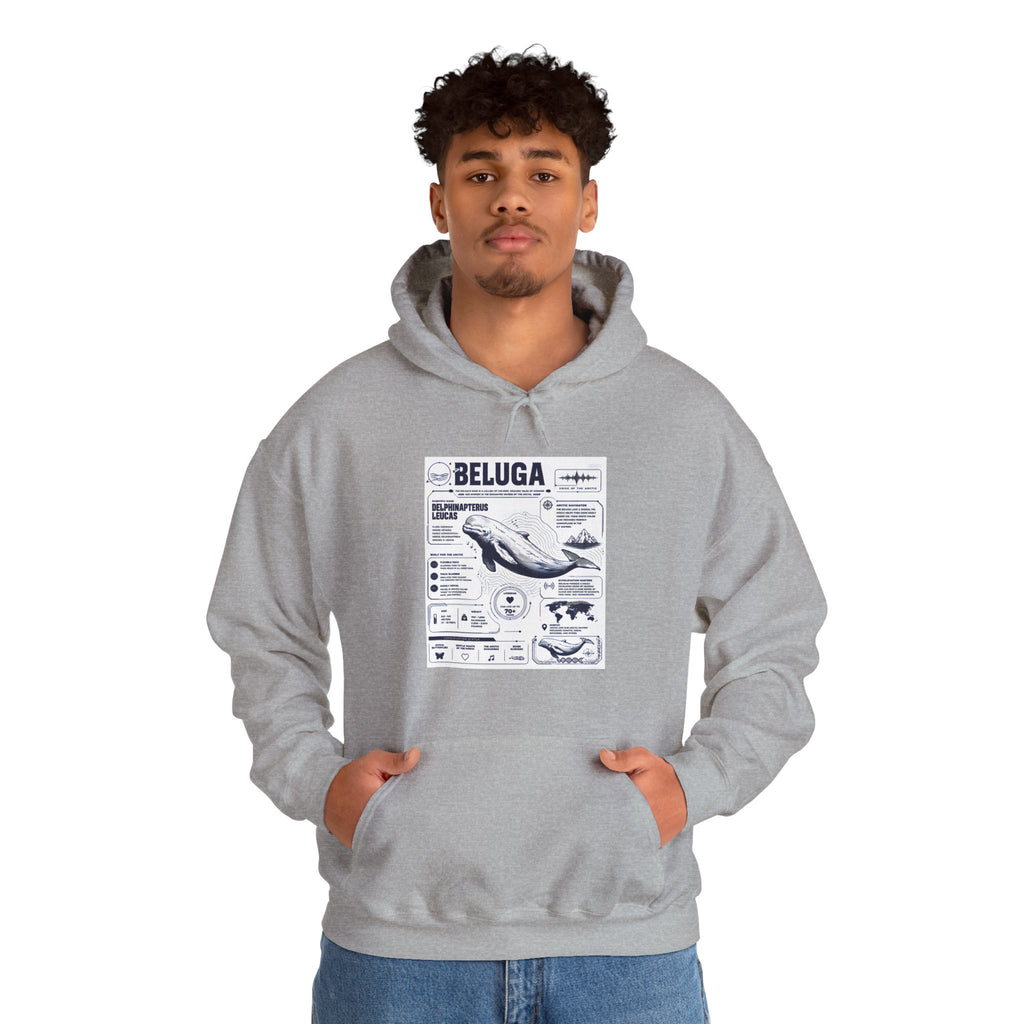 Beluga Whale Graphic Hoodie - Marine Life Diagram Sweatshirt