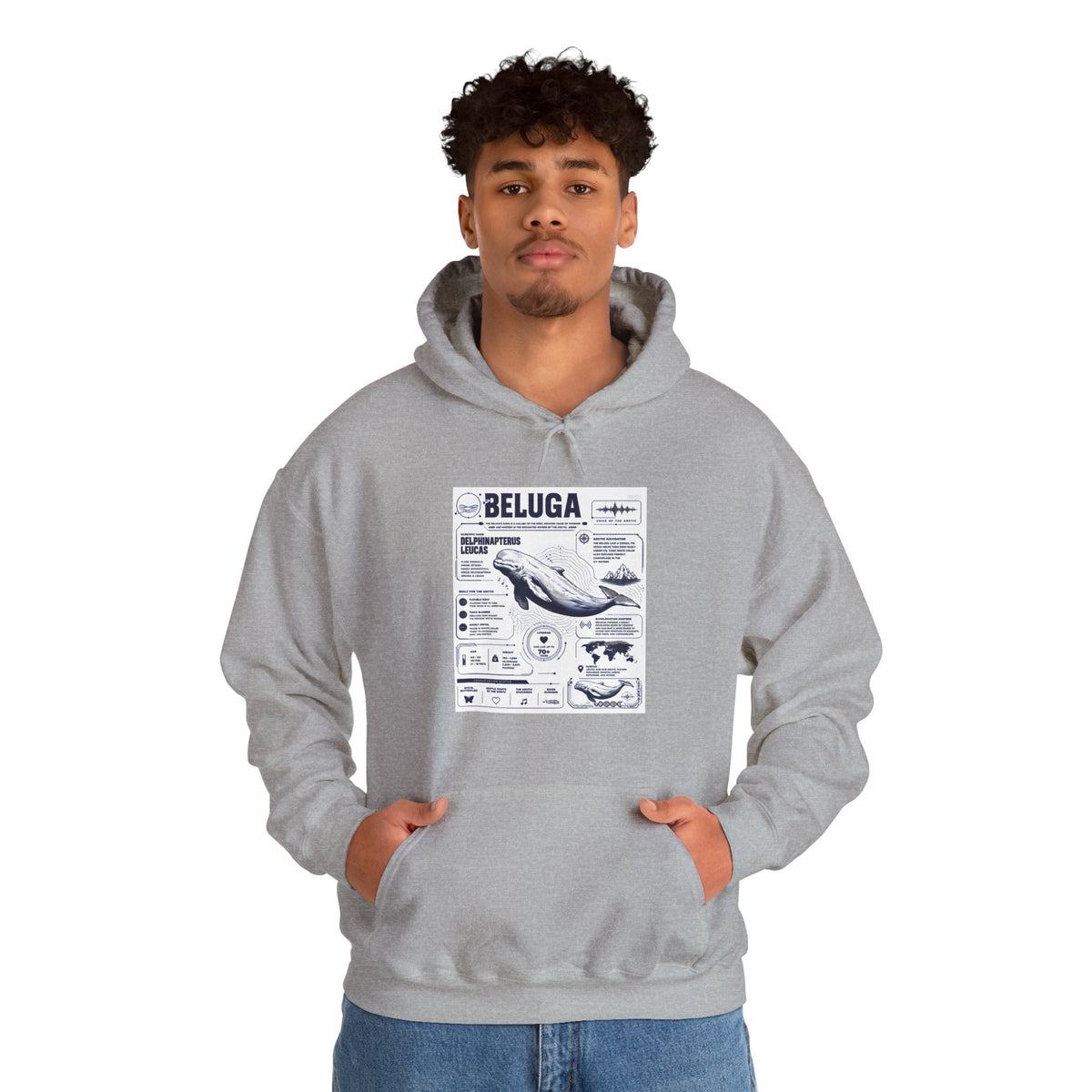 Beluga Whale Graphic Hoodie - Marine Life Diagram Sweatshirt