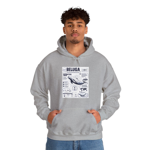 Beluga Whale Graphic Hoodie - Marine Life Diagram Sweatshirt