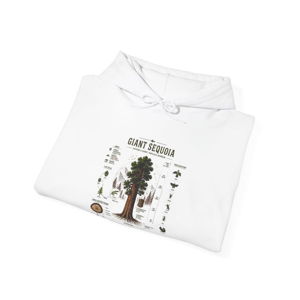 Giant Sequoia Botanical Hoodie — Vintage Tree Illustration & Facts