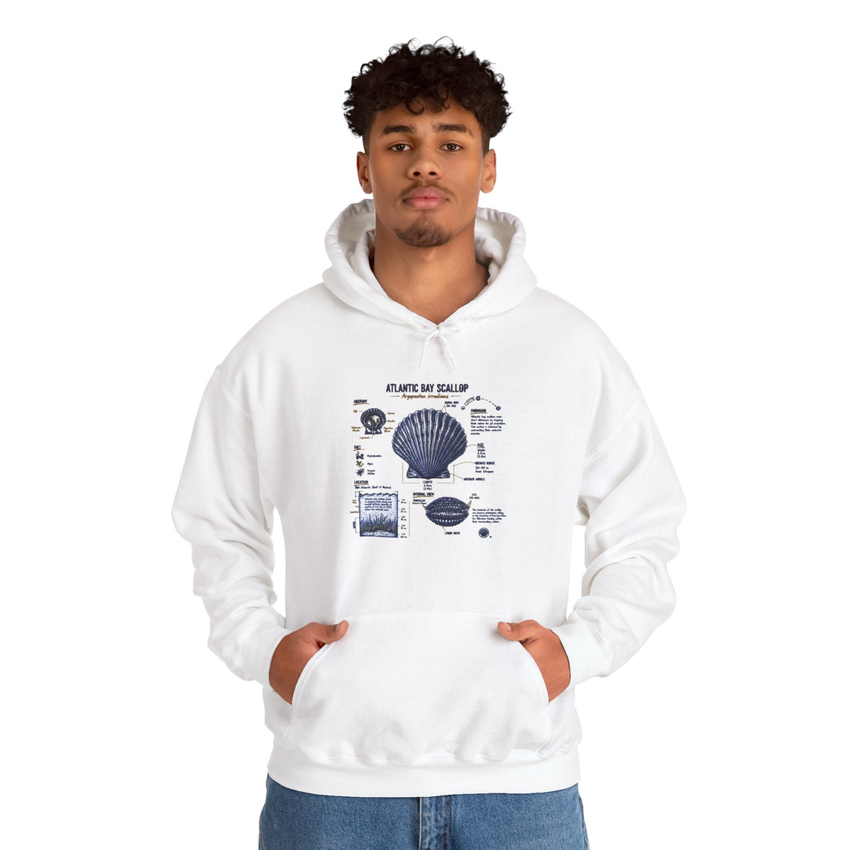 Seashell Anatomy Hoodie – Nautical Beach Diagram Sweatshirt