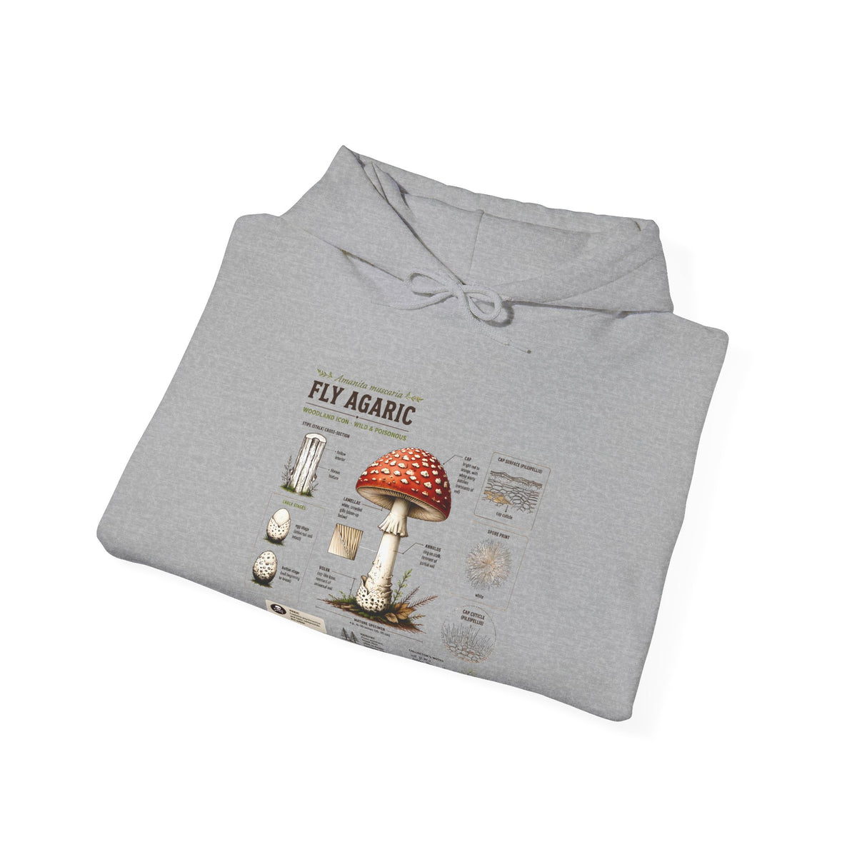 Fly Agaric Mushroom Hoodie – Vintage Mycology Diagram Sweatshirt