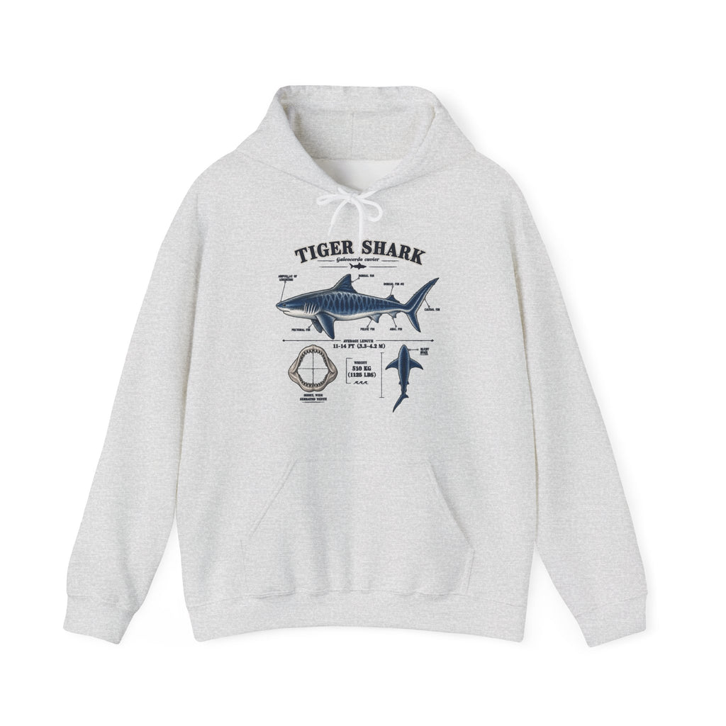 Tiger Shark Anatomy Hoodie — Nautical Science Graphic Pullover
