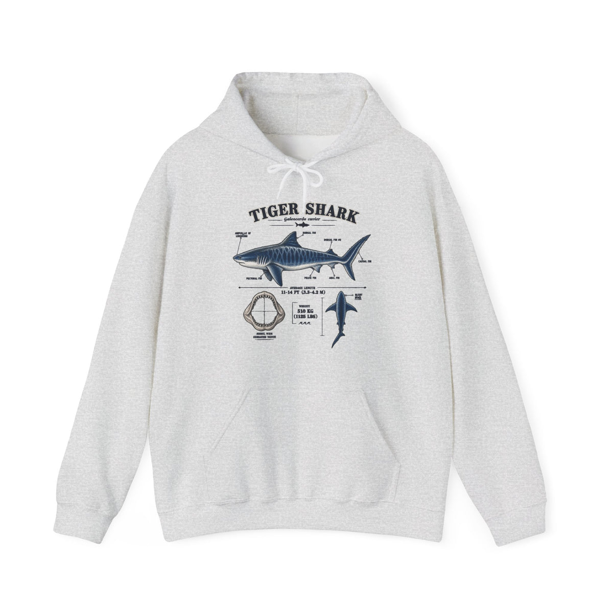Tiger Shark Anatomy Hoodie — Nautical Science Graphic Pullover