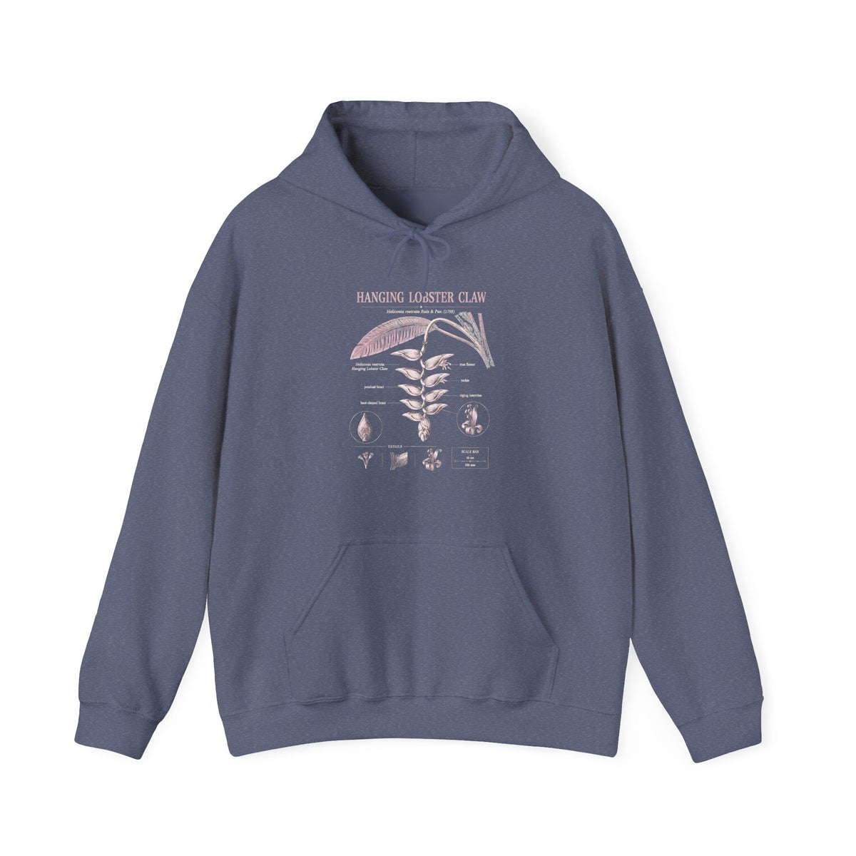 Botanical Growth Hoodie — Humming Lighter Club Plant Diagram Pullover