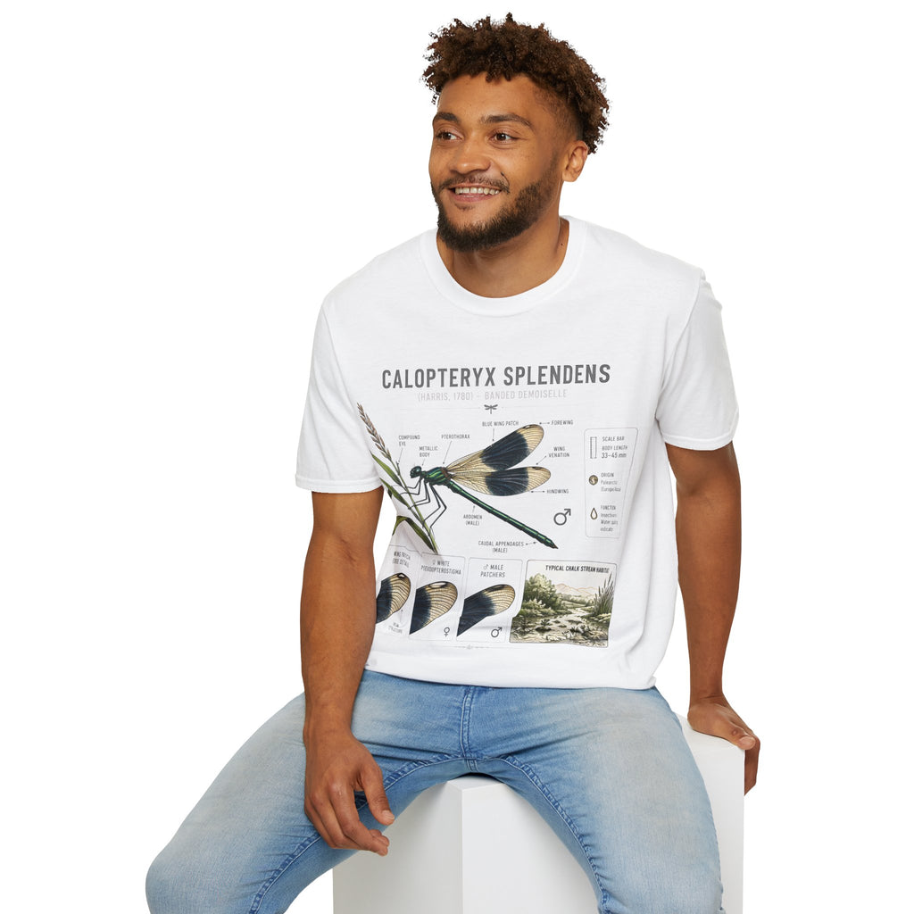 Calopteryx Splendens Anatomy T-Shirt