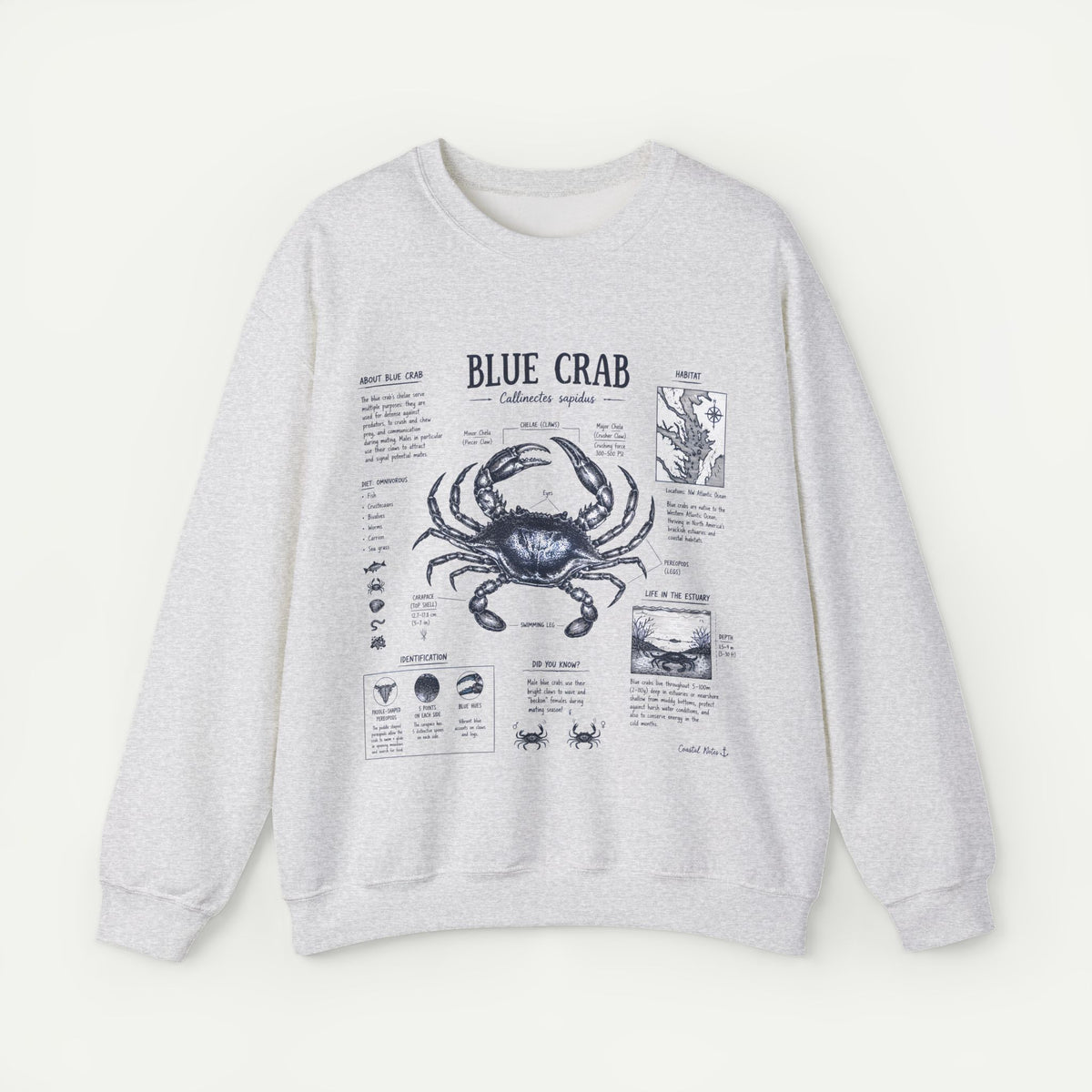 Blue Crab Anatomy Sweatshirt
