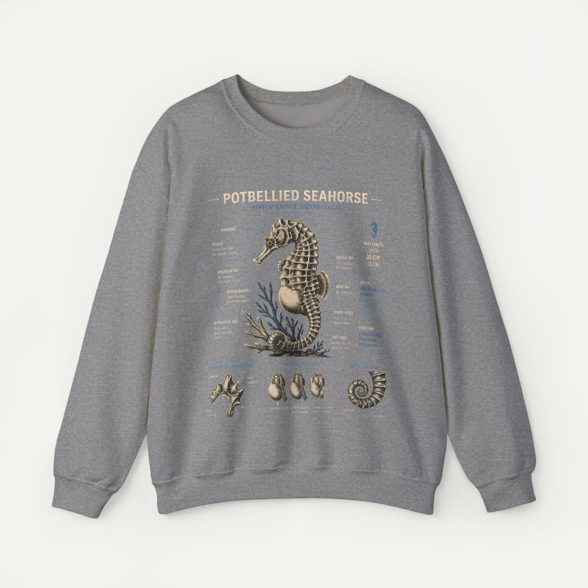 Potbellied Seahorse Anatomy Sweatshirt – Marine Biology Illustration Crewneck