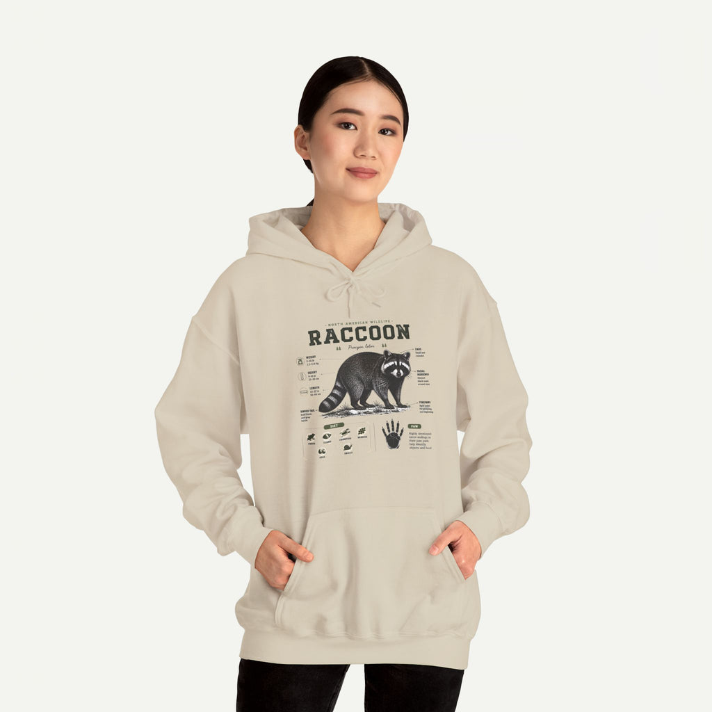 Raccoon Anatomy Hoodie — Vintage Wildlife Illustration Sweatshirt