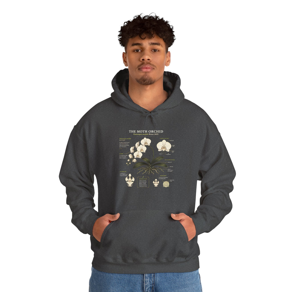 Botanical Orchid Anatomy Hoodie — Vintage Plant Illustration Sweatshirt