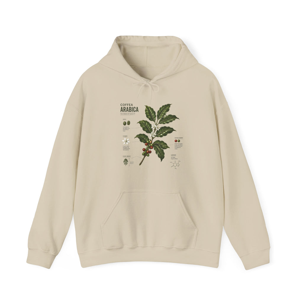 Coffee Plant Hoodie — Coffea Arabica Botanical Illustration Sweatshirt