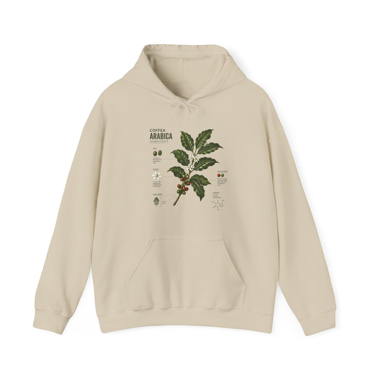 Coffee Plant Hoodie — Coffea Arabica Botanical Illustration Sweatshirt