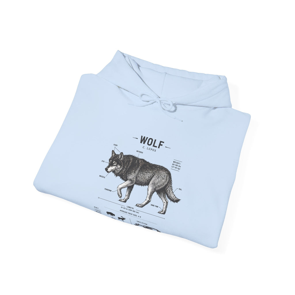 Wolf Anatomy Hoodie – Vintage Wildlife Diagram Sweatshirt