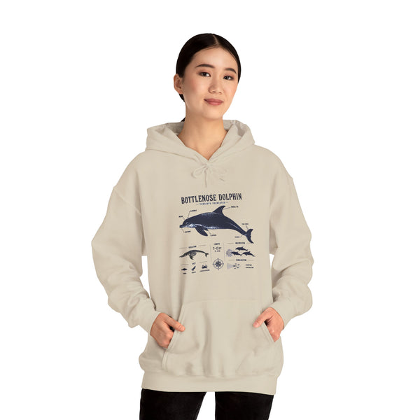 Bottlenose Dolphin Diagram Hoodie – Marine Life Anatomy Sweatshirt