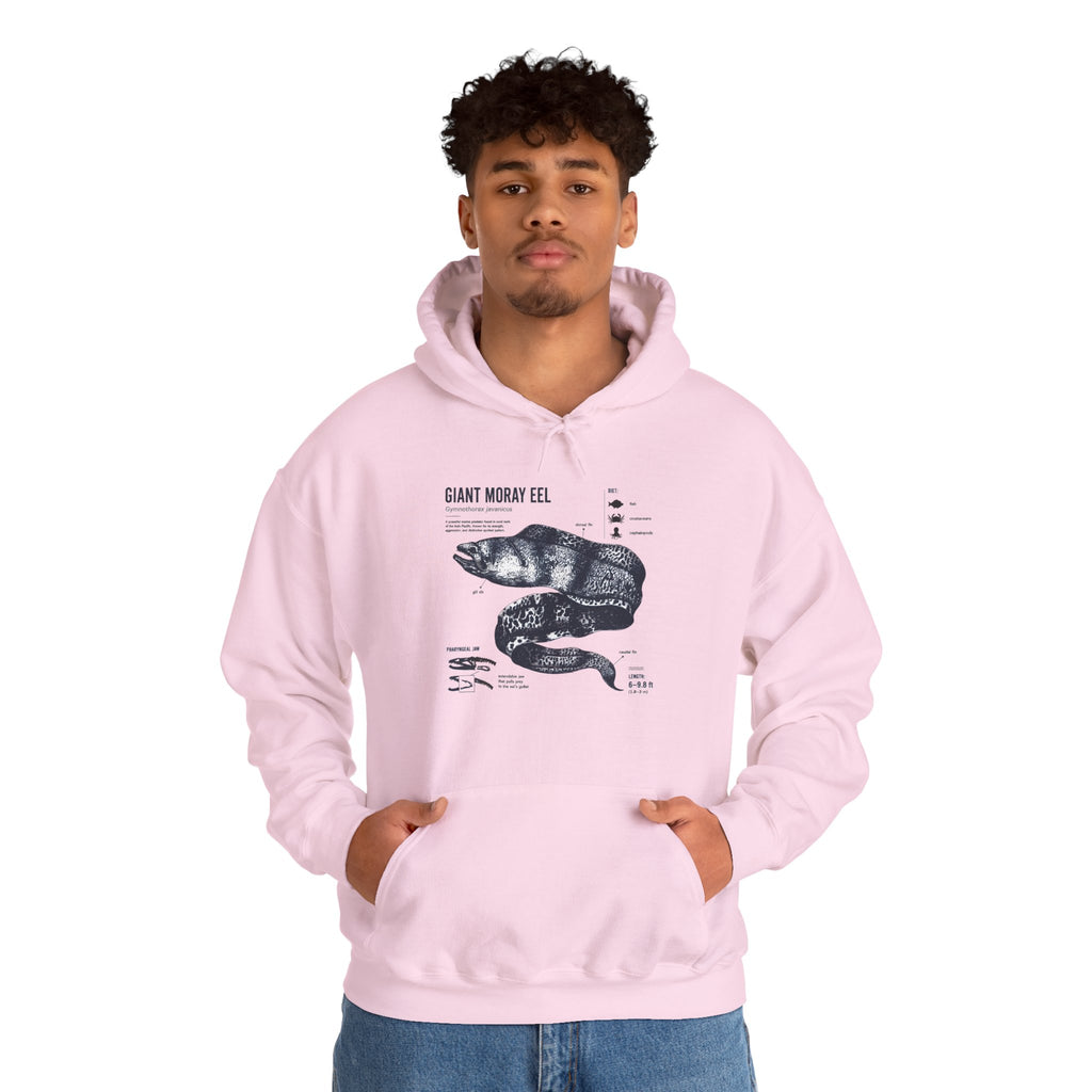 Sea Snake Diagram Hoodie - Vintage Scientific Illustration Sweatshirt