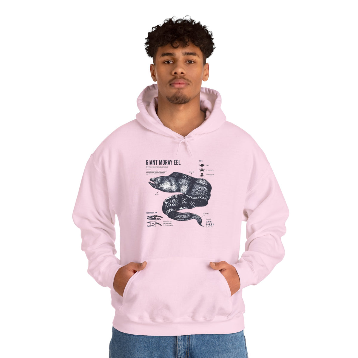 Sea Snake Diagram Hoodie - Vintage Scientific Illustration Sweatshirt