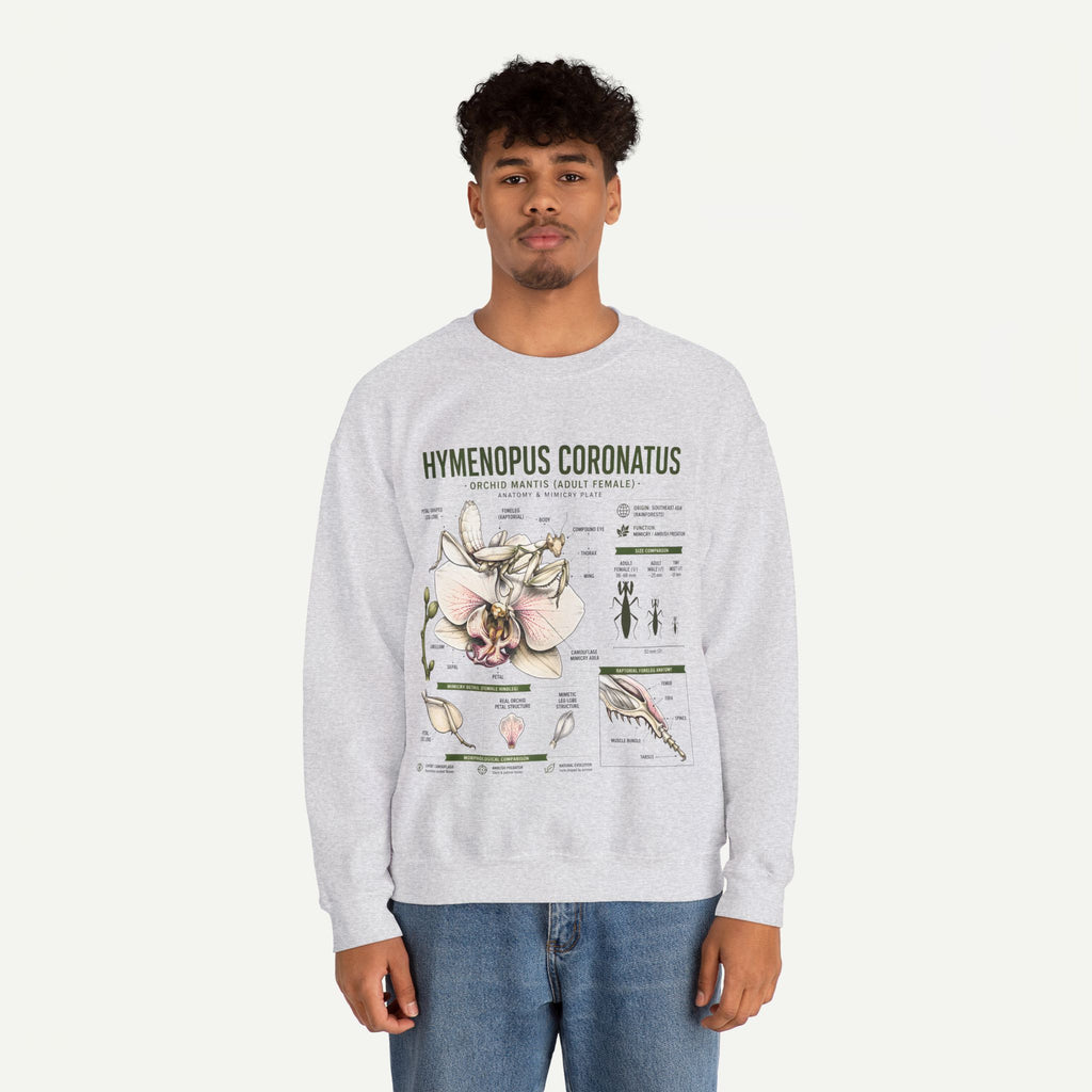 Botanical Anatomy Sweatshirt — Hymenopus Coronatus Illustration
