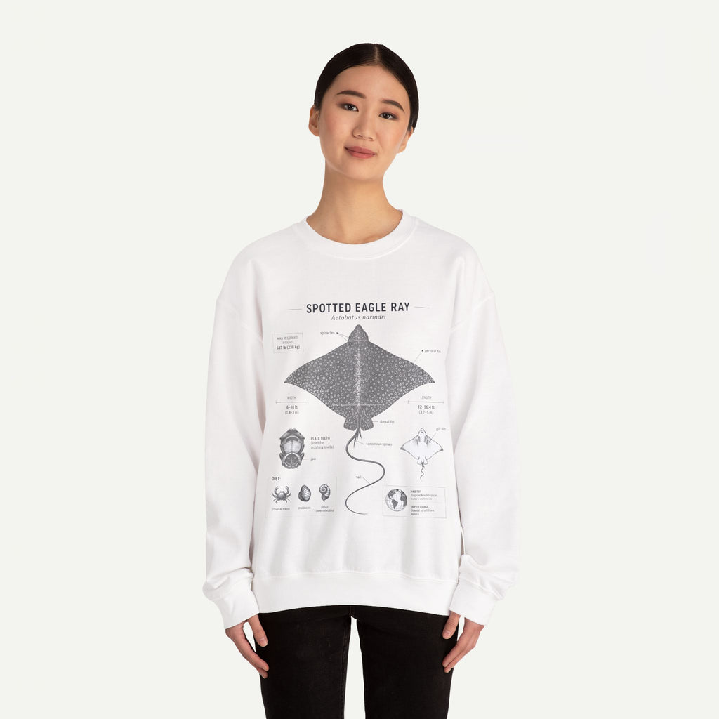 Spotted Eagle Ray Anatomy Sweatshirt – Marine Biology Illustration