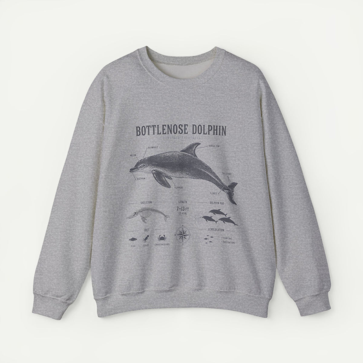 Bottlenose Dolphin Sweatshirt – Marine Life Educational Graphic