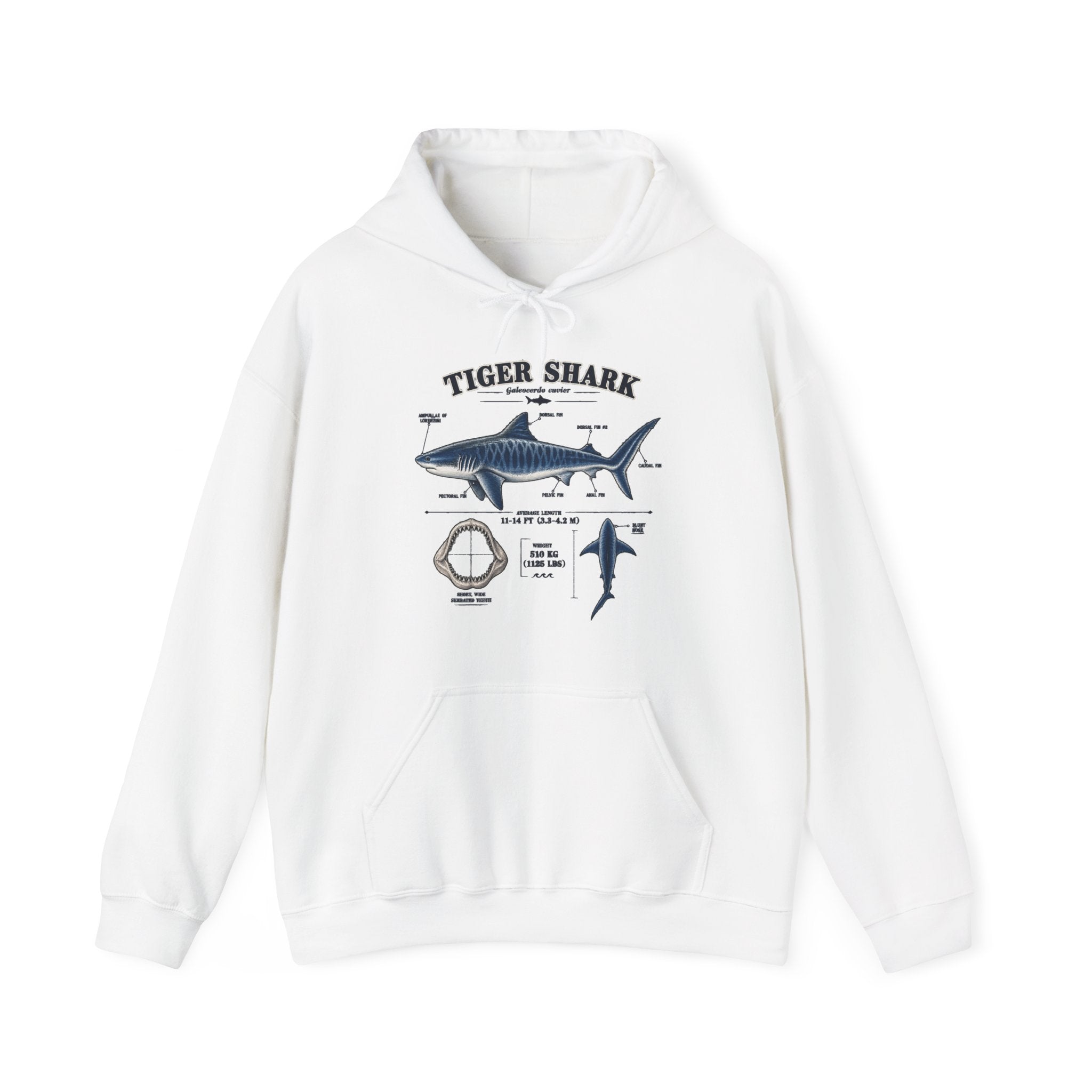 Tiger Shark Anatomy Hoodie — Nautical Science Graphic Pullover Secondary image