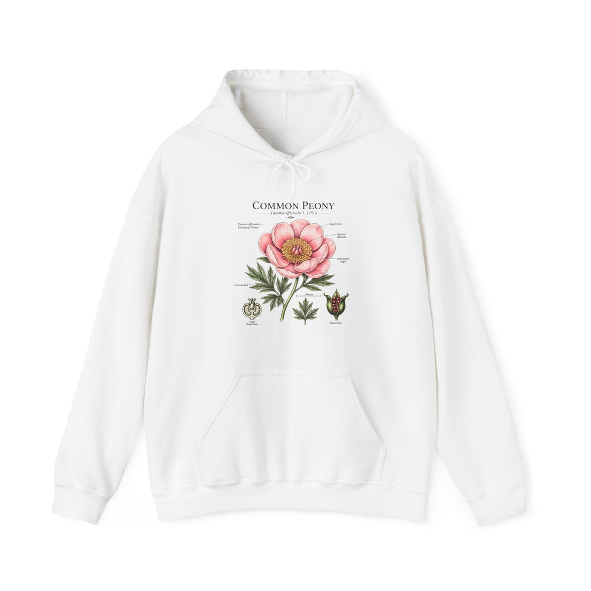 Peony Botanical Hoodie — "Common Peony" Vintage Floral Diagram Sweatshirt Main image
