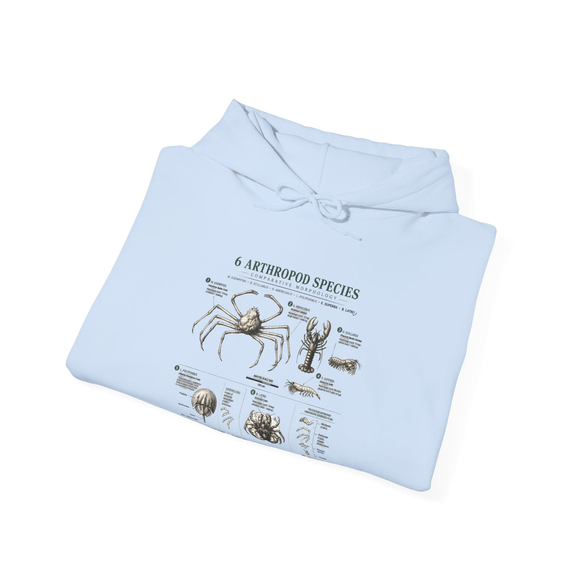 Arthropod Species Hoodie – Vintage Scientific Diagram Sweatshirt