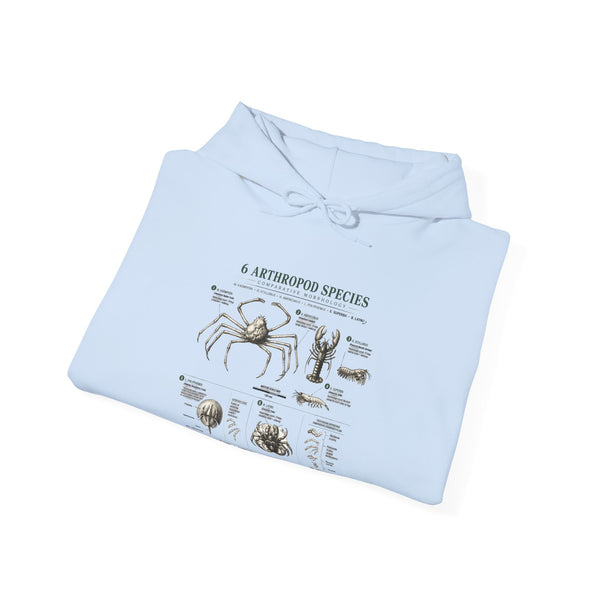 Arthropod Species Hoodie – Vintage Scientific Diagram Sweatshirt
