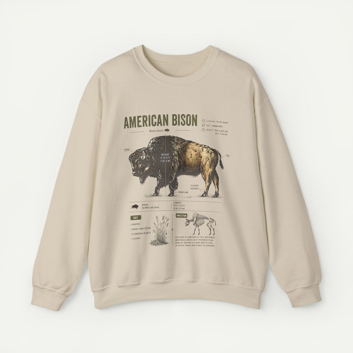 American Bison Anatomy Sweatshirt — Vintage Wildlife Illustration Crewneck