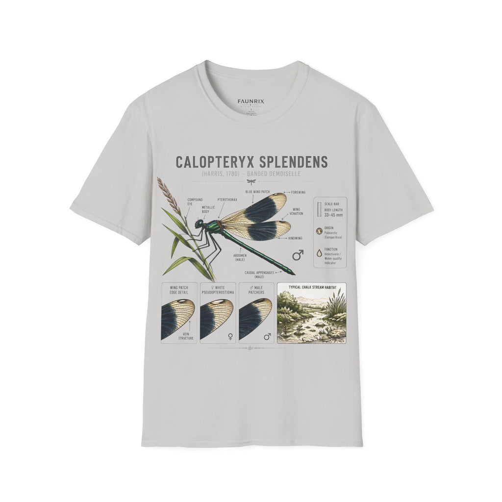 Calopteryx Splendens Anatomy T-Shirt