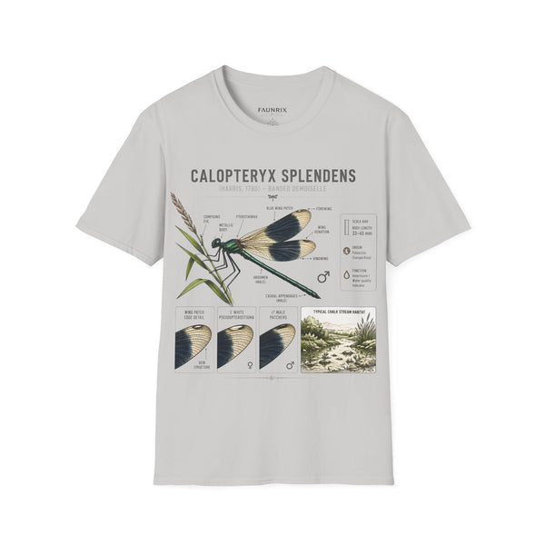 Calopteryx Splendens Anatomy T-Shirt