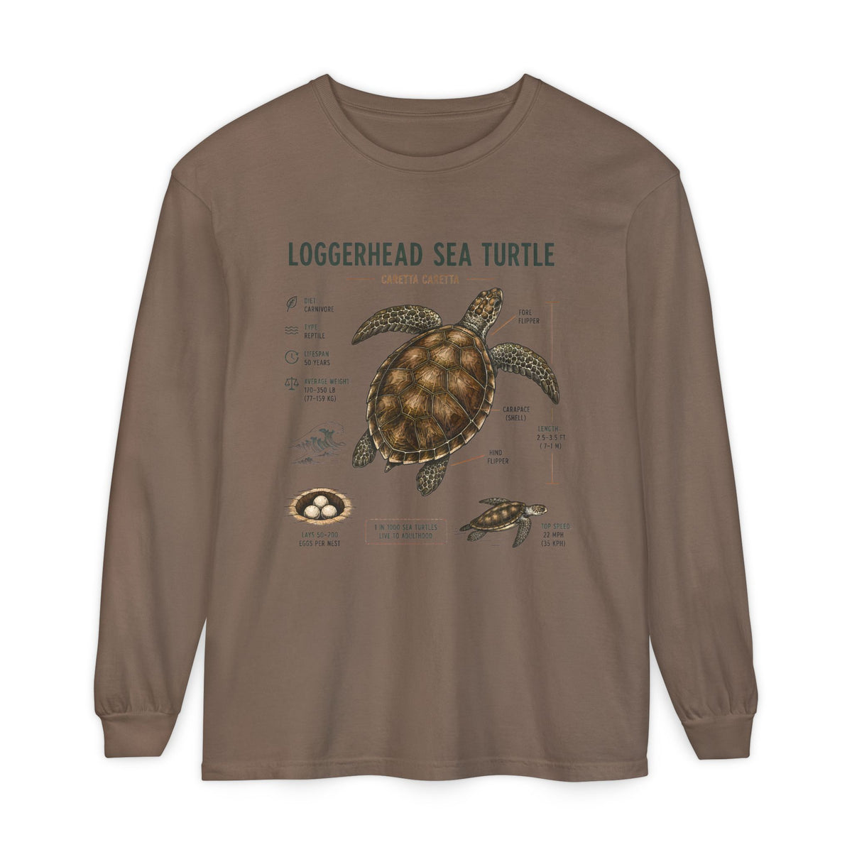 Loggerhead Sea Turtle Anatomy Long Sleeve Tee
