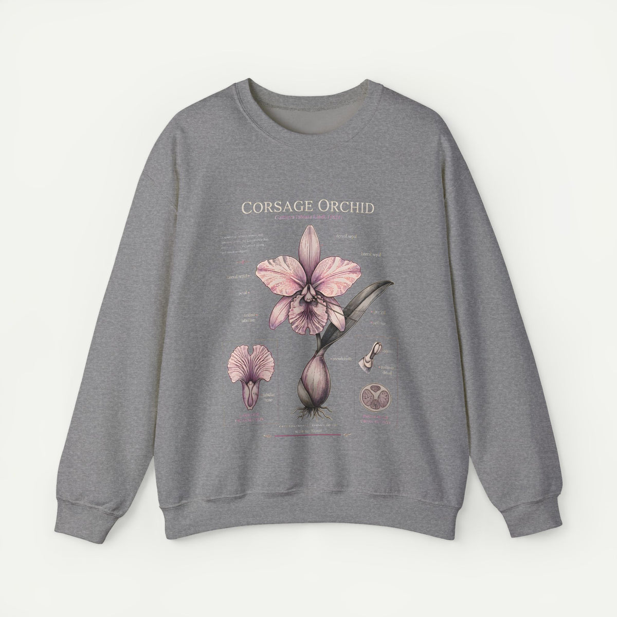 Corsage Orchid Sweatshirt — Botanical Anatomy Floral Crewneck