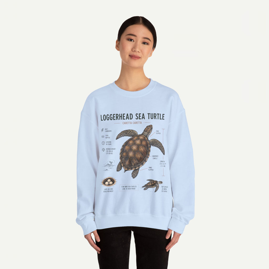 Loggerhead Sea Turtle Anatomy Sweatshirt — Marine Life Educational Crewneck