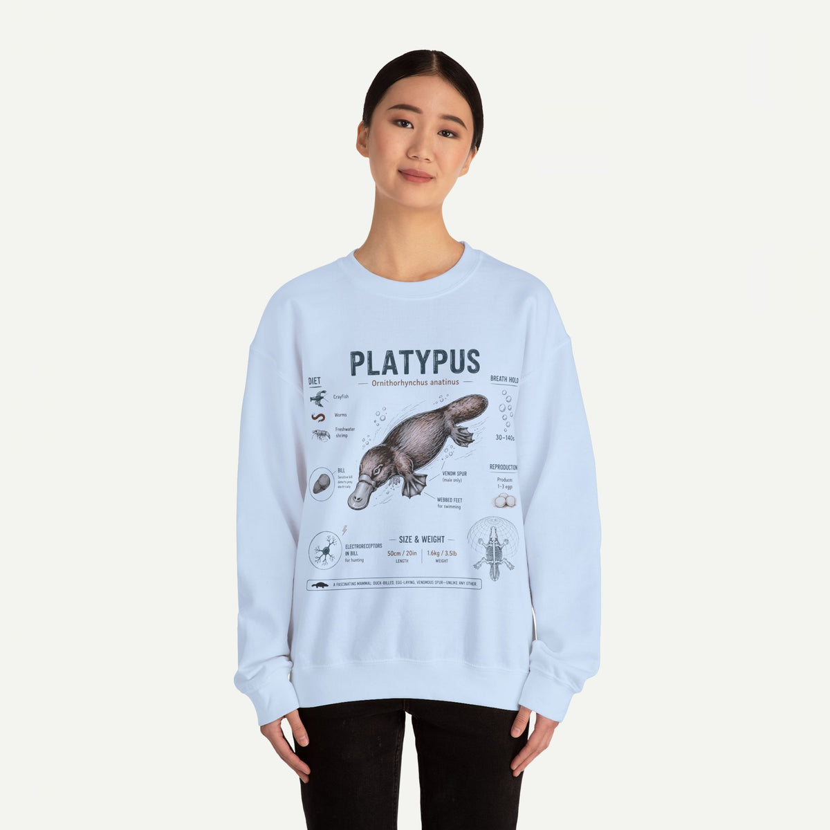 Platypus Anatomy Sweatshirt — Vintage Scientific Illustration