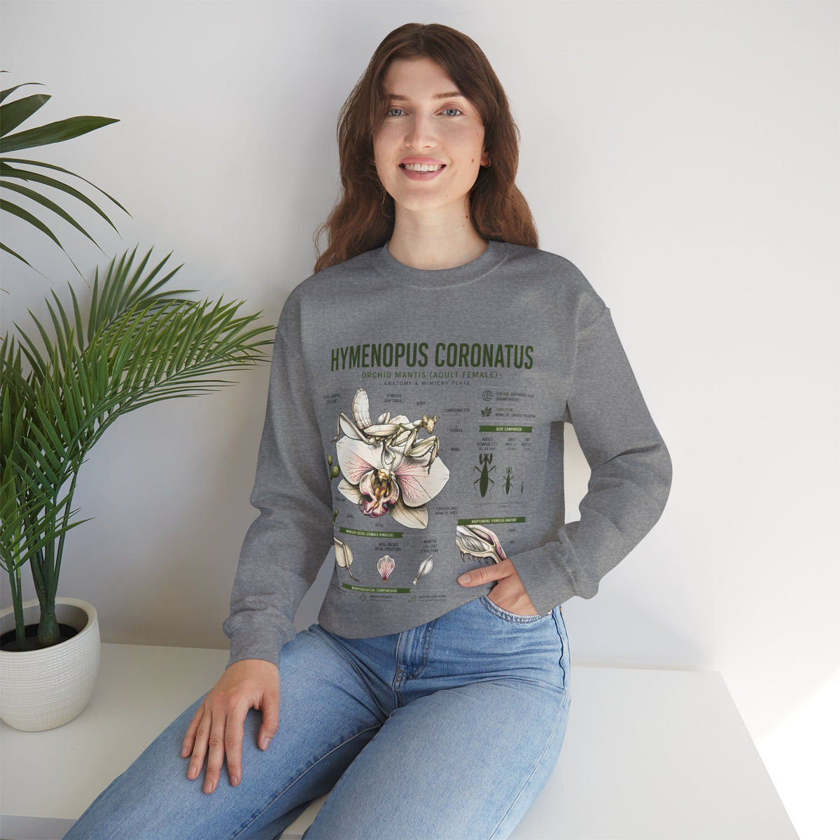 Botanical Anatomy Sweatshirt — Hymenopus Coronatus Illustration