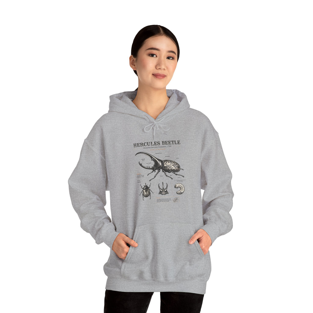 Hercules Beetle Anatomy Hoodie — Vintage Entomology Illustration Sweatshirt