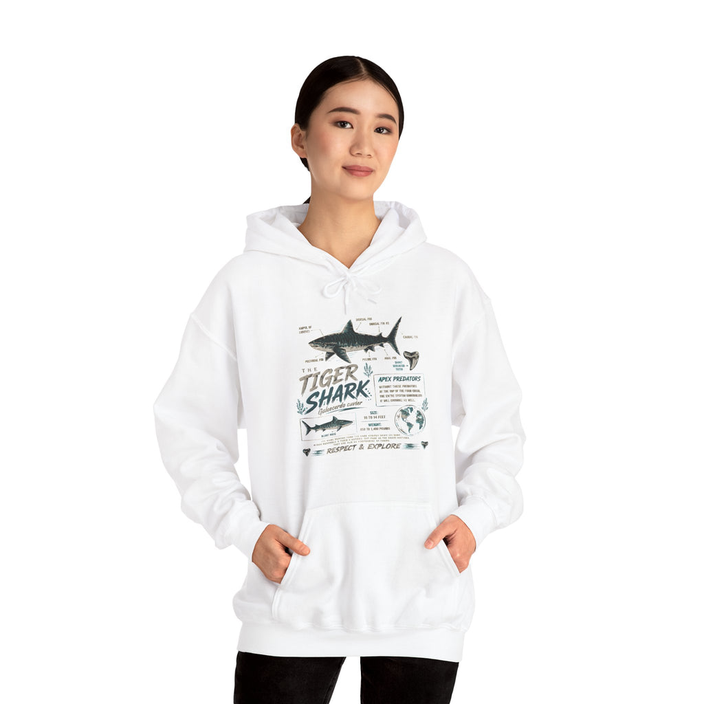 Tiger Shark Illustration Hoodie — Marine Biology Graphic Pullover (Tiger Shark Facts)