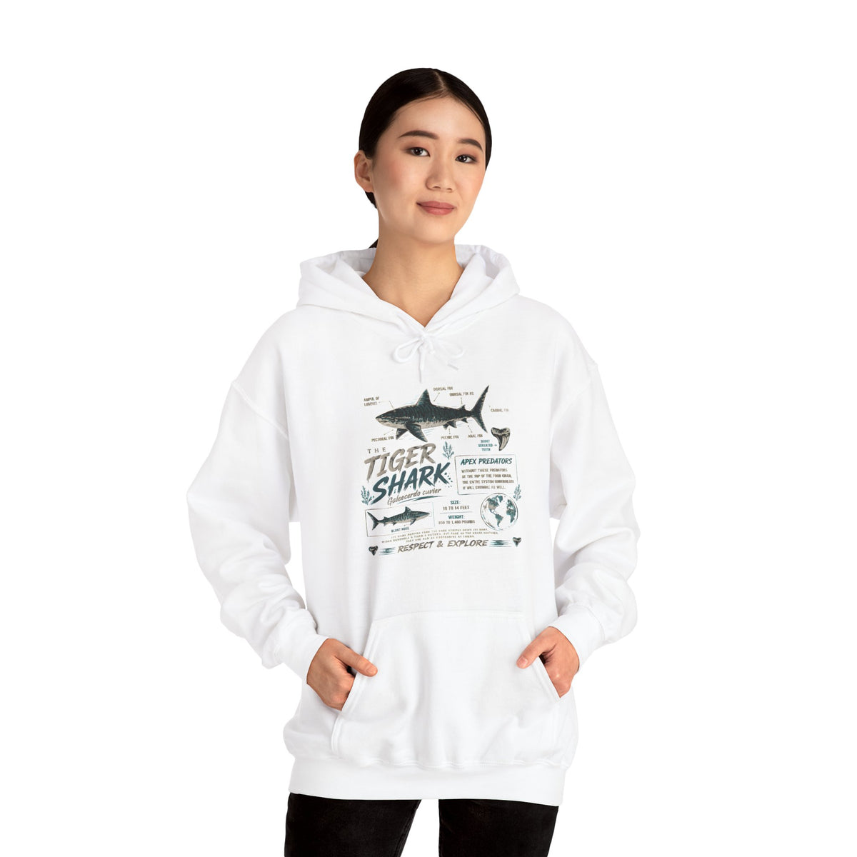 Tiger Shark Illustration Hoodie — Marine Biology Graphic Pullover (Tiger Shark Facts)