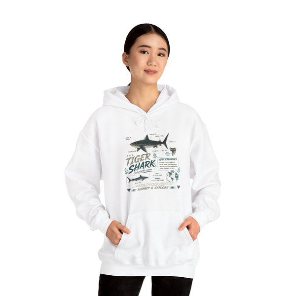 Tiger Shark Illustration Hoodie — Marine Biology Graphic Pullover (Tiger Shark Facts)
