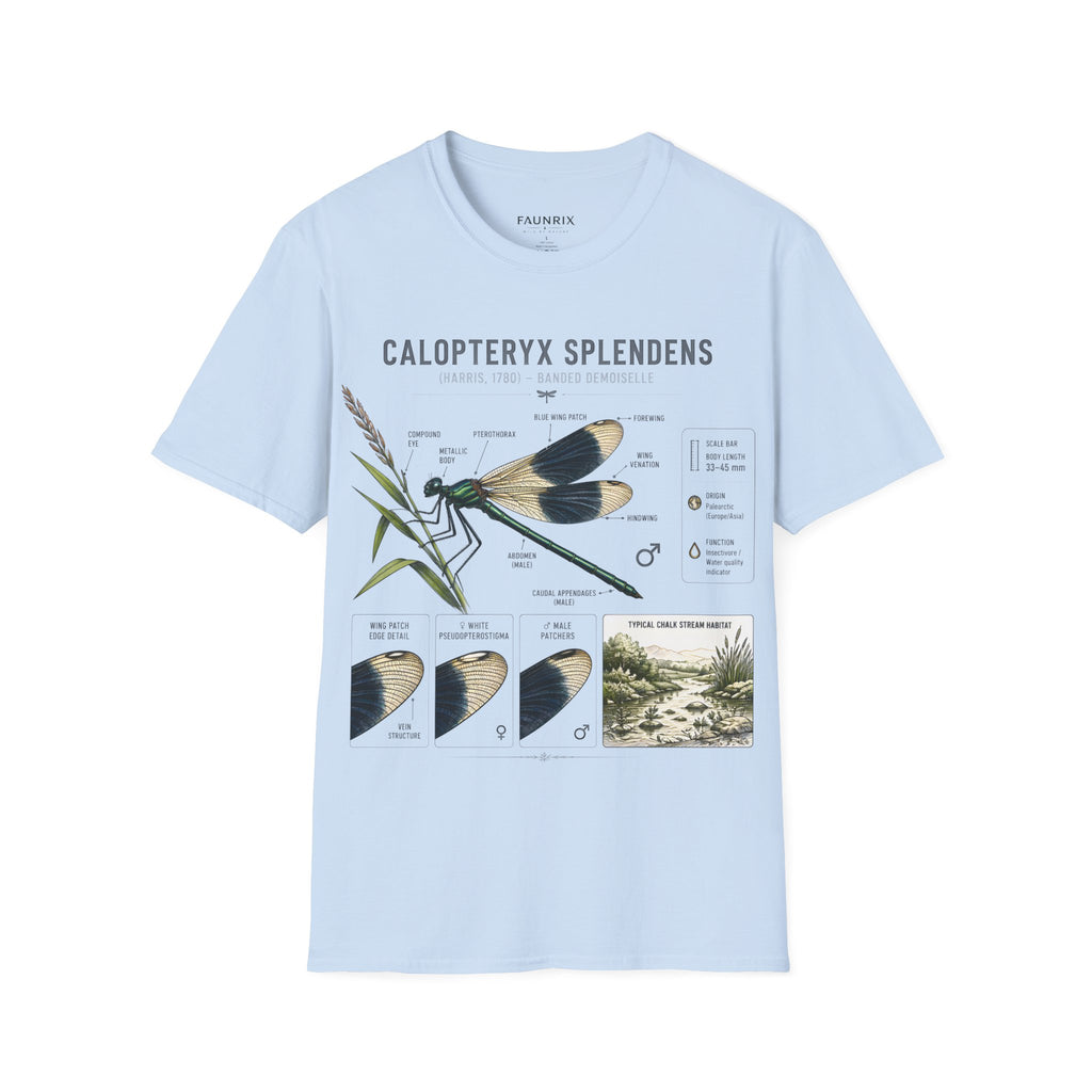 Calopteryx Splendens Anatomy T-Shirt