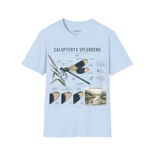 Calopteryx Splendens Anatomy T-Shirt