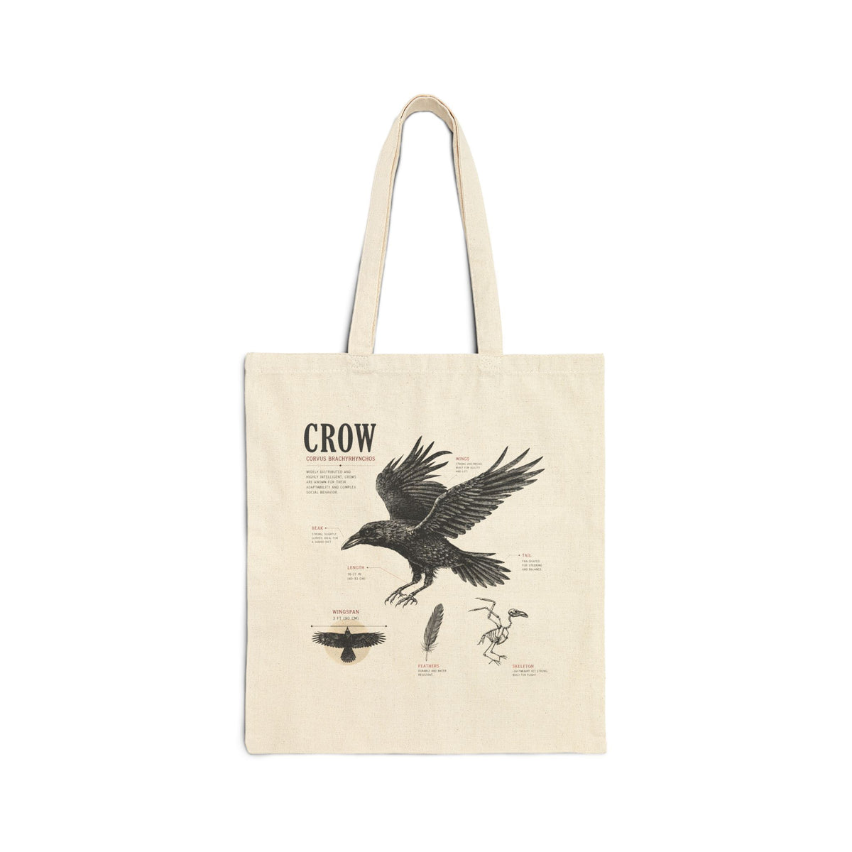 Crow Anatomy Canvas Tote Bag — Vintage Bird Illustration Cotton Tote Main image