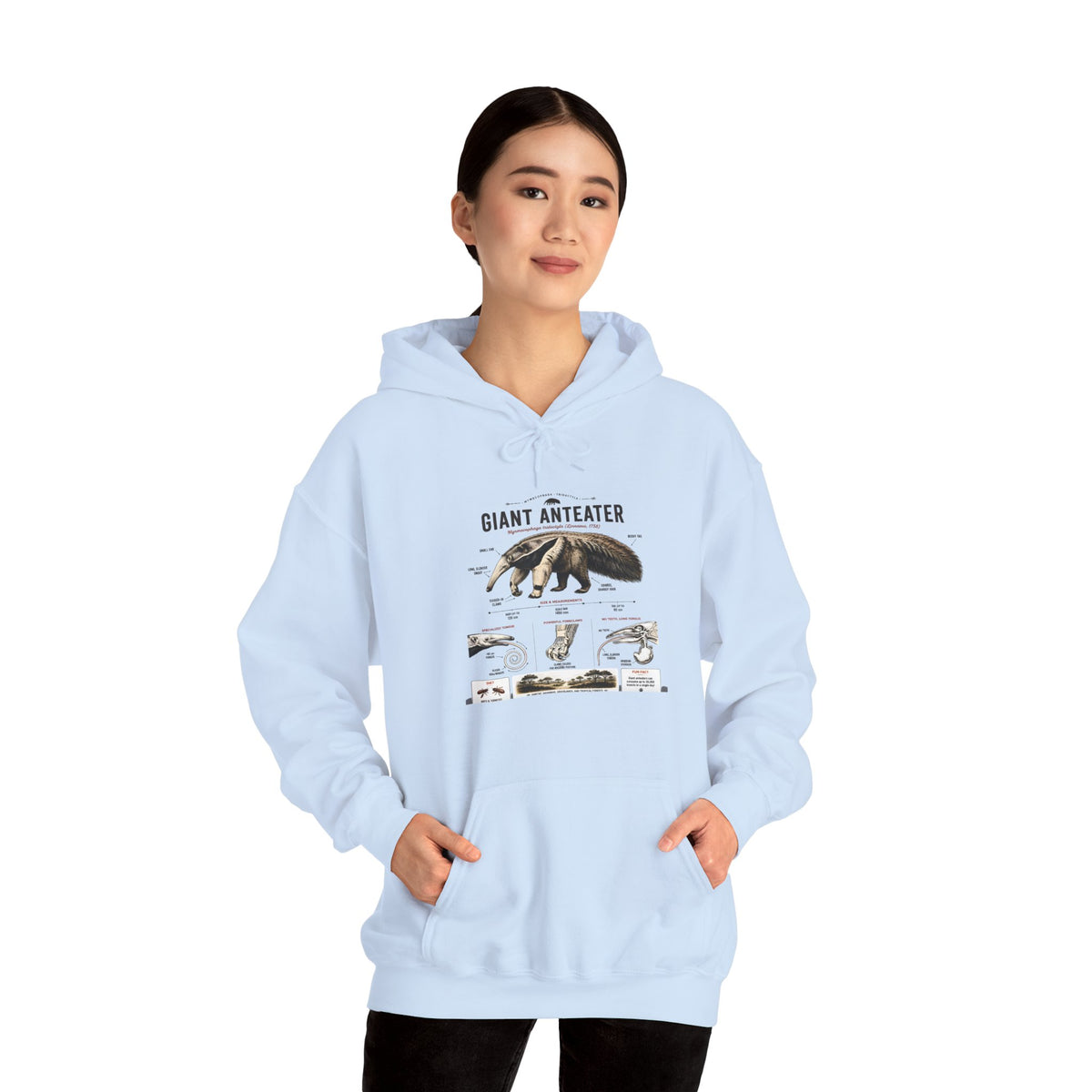 Giant Anteater Anatomy Hoodie — Illustrated Wildlife Diagram Sweatshirt
