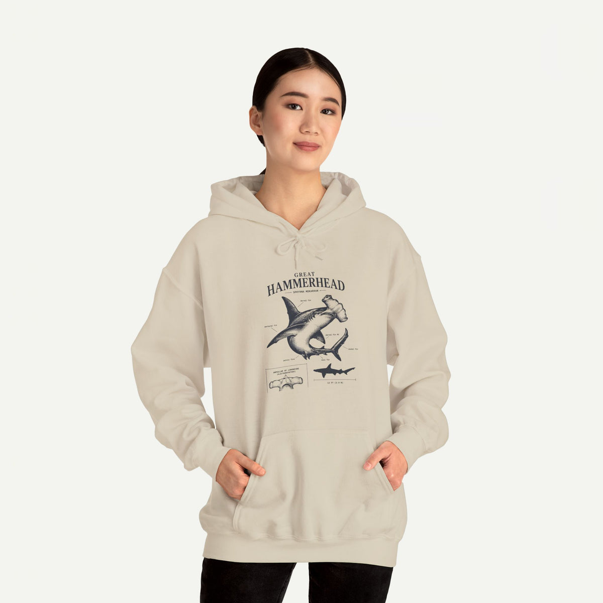 Hammerhead Shark Anatomy Hoodie – Marine Biology Graphic