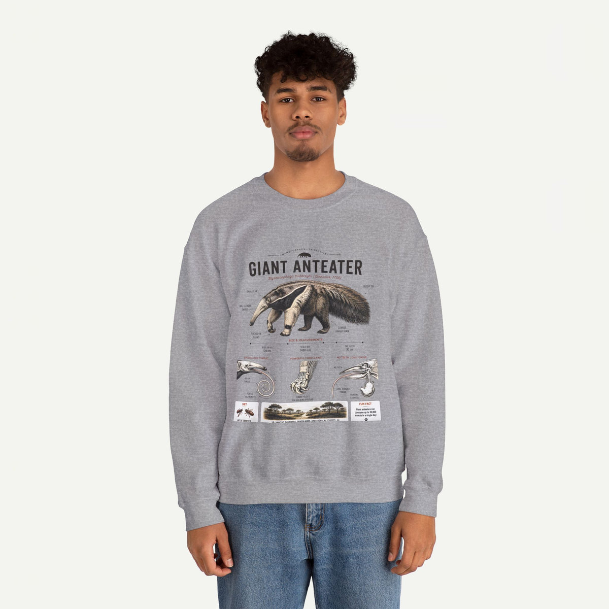 Giant Anteater Anatomy Crewneck Sweatshirt – Vintage Wildlife Anatomy Illustration