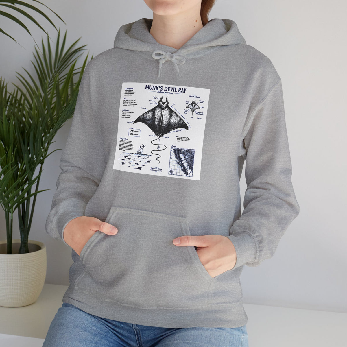 Manta Ray Anatomy Hoodie — Marine Life Graphic Pullover