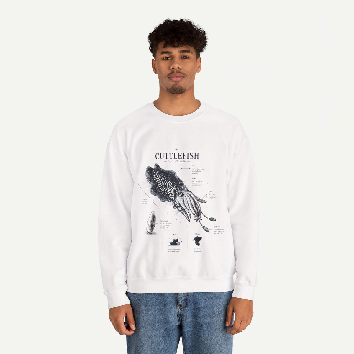 Cuttlefish Anatomy Crewneck Sweatshirt