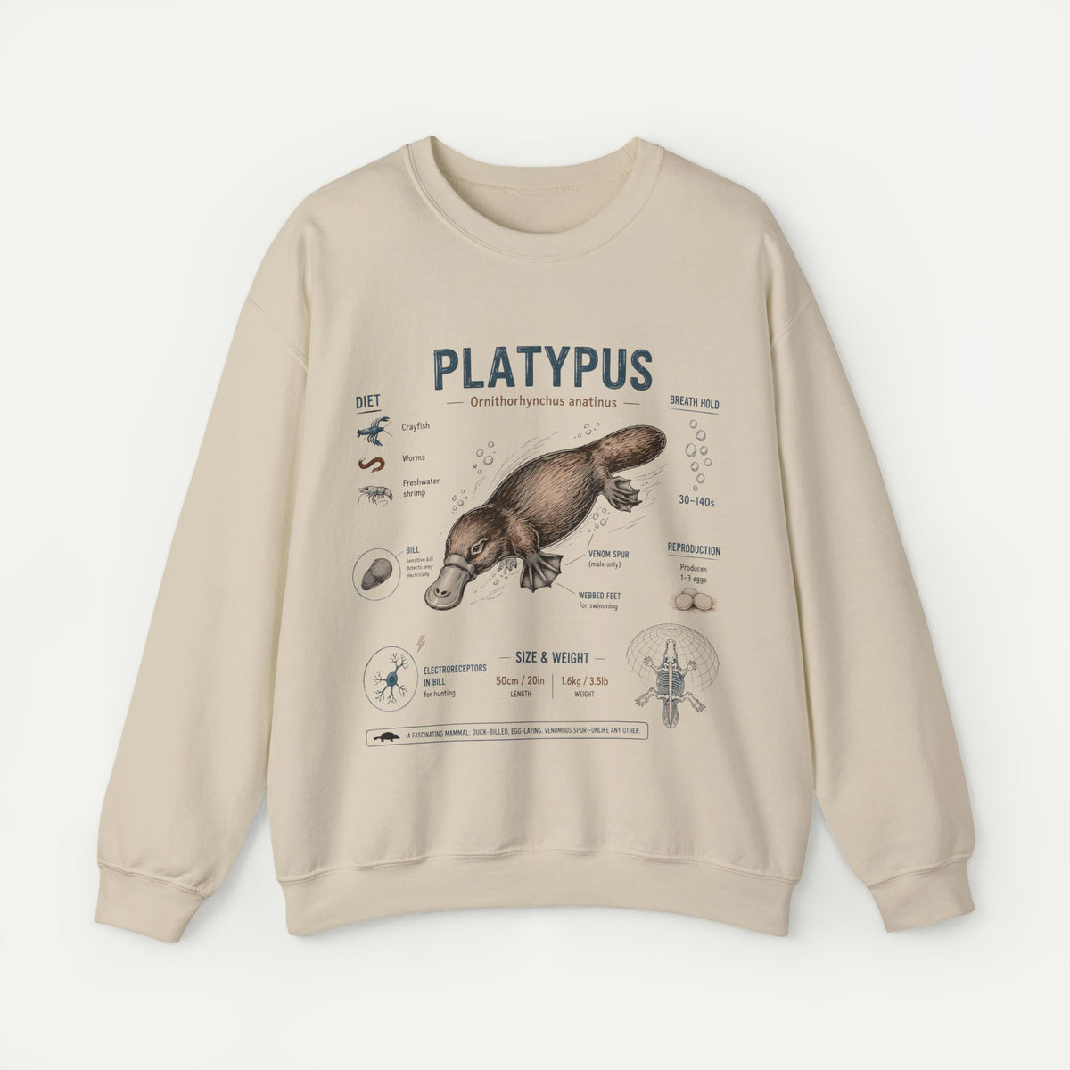 Platypus Anatomy Sweatshirt — Vintage Scientific Illustration
